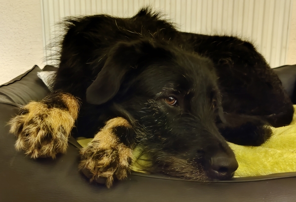 Hannes und Lula