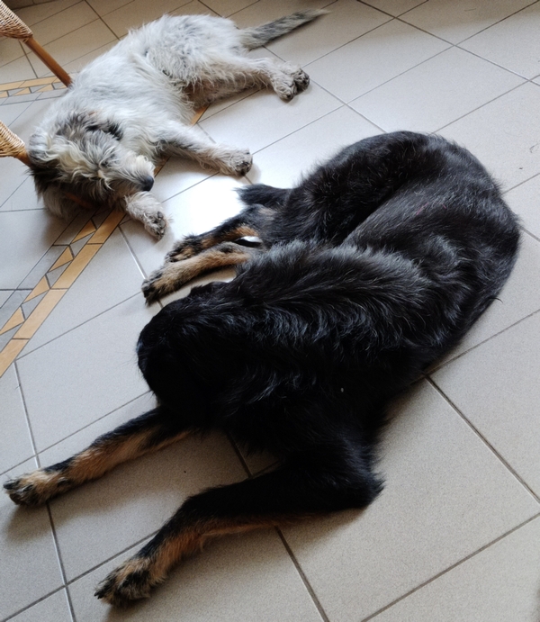 Hannes und Lula
