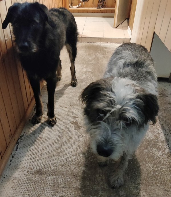 Hannes und Lula
