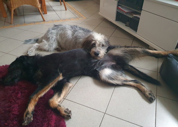 Hannes und Lula
