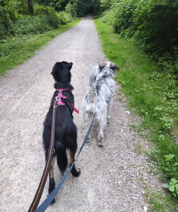 Hannes und Lula