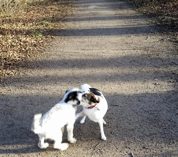 Hannes und Lula