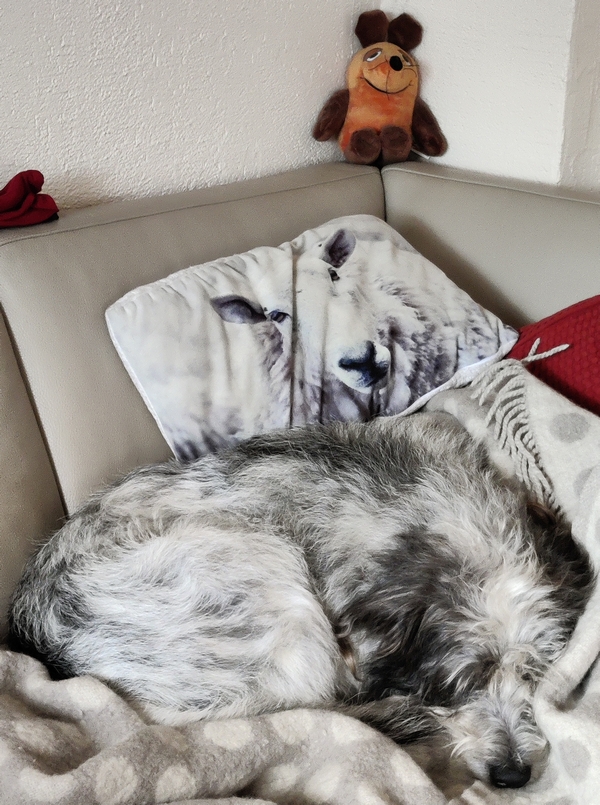 Hannes und Lula