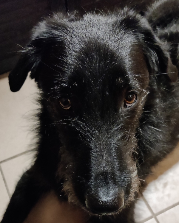 Hannes und Lula
