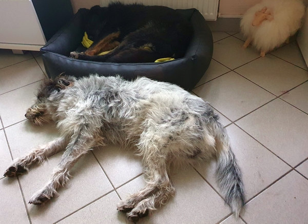 Hannes und Lula