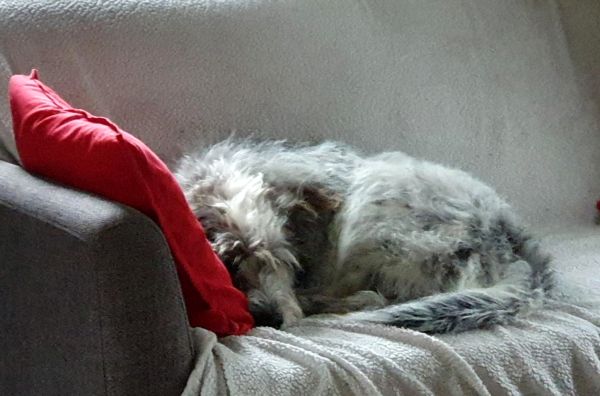 Hannes und Lula