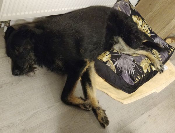 Hannes und Lula