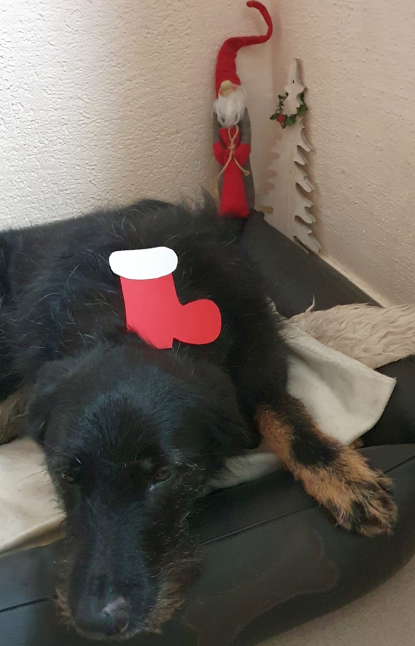 Hannes und Lula
