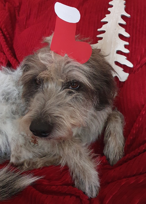 Hannes und Lula