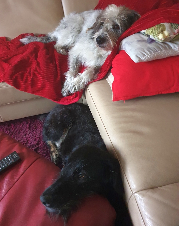 Hannes und Lula