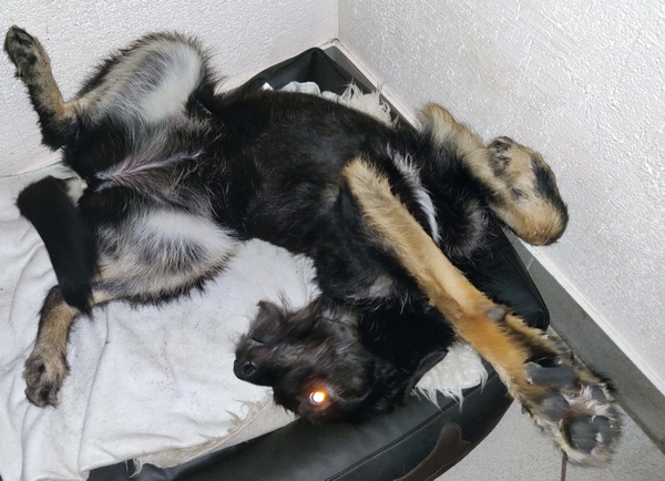Hannes und Lula