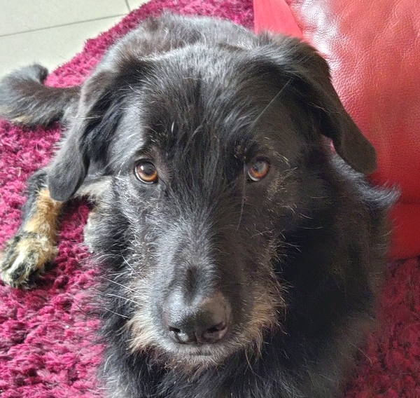 Hannes und Lula