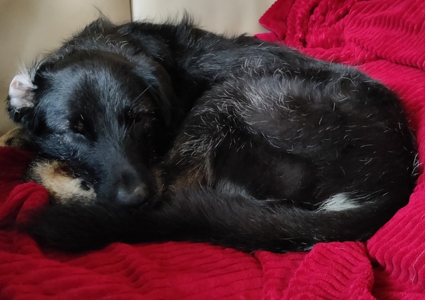Hannes und Lula