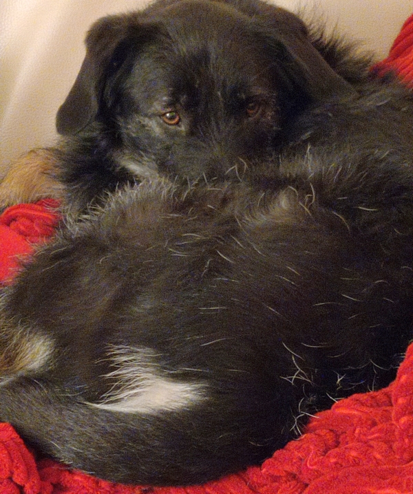 Hannes und Lula
