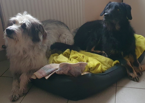 Hannes und Lula