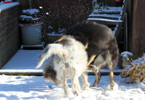 Hannes und Lula
