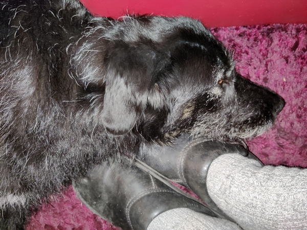 Hannes und Lula
