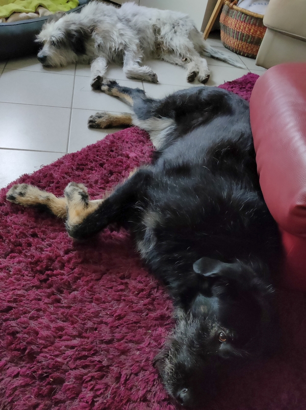 Hannes und Lula