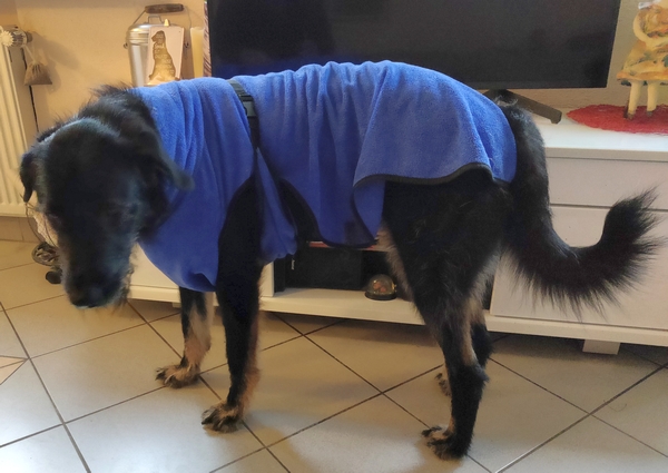Hannes und Lula