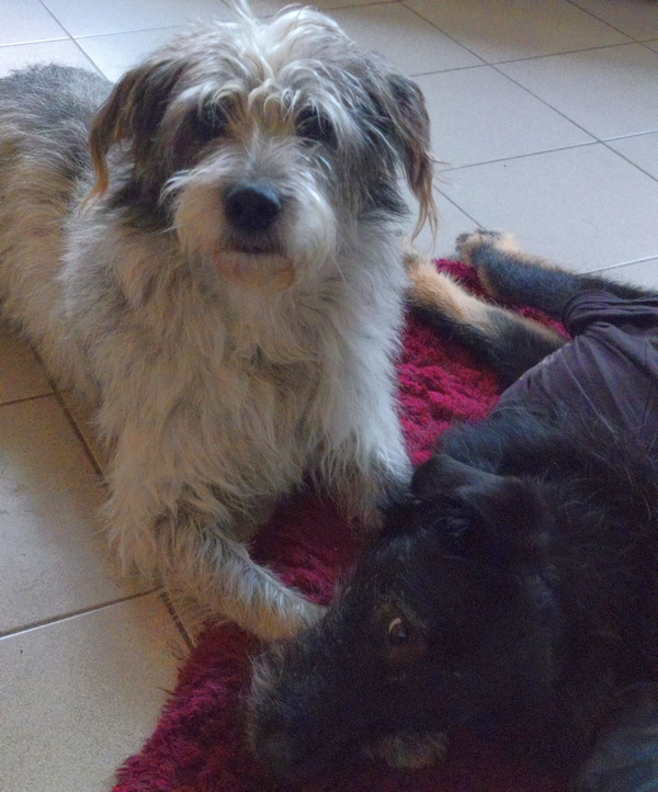 Hannes und Lula