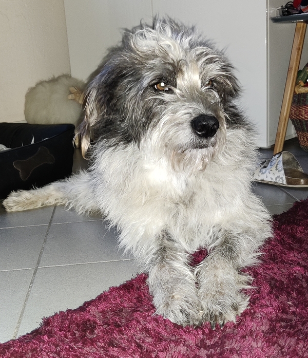 Hannes und Lula