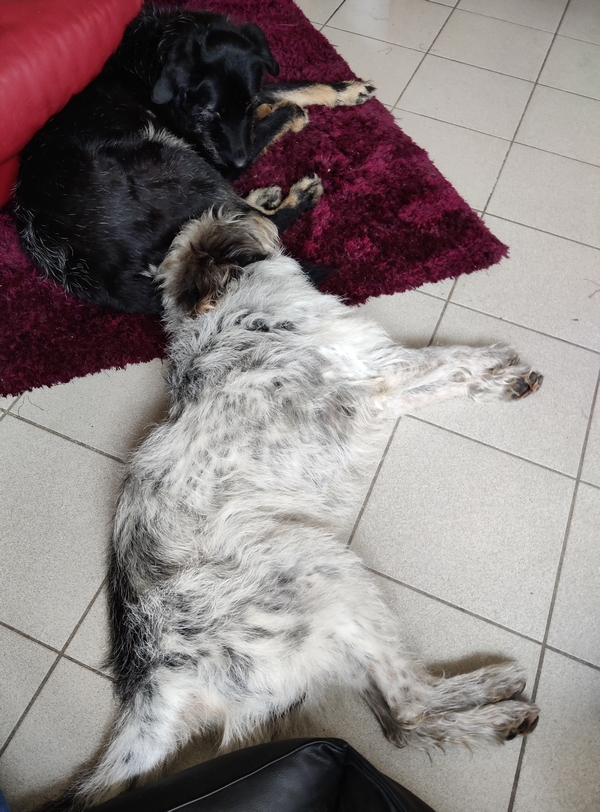Hannes und Lula
