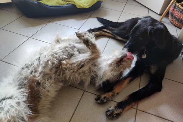 Hannes und Lula