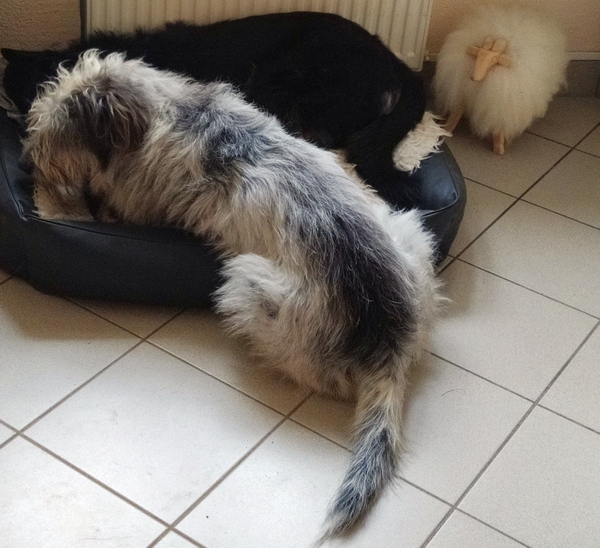 Hannes und Lula