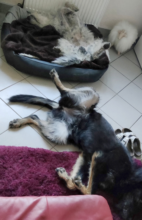 Hannes und Lula