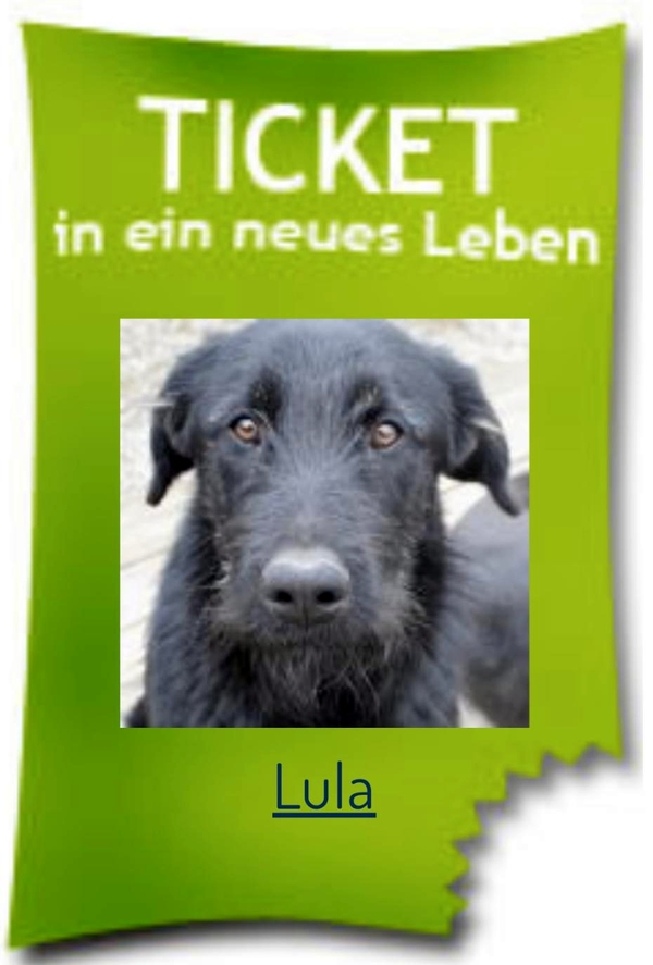 Originalbild von der Seite Brunopet