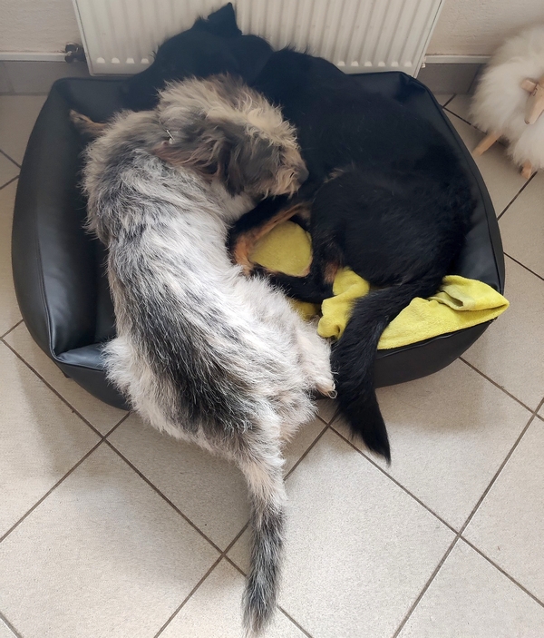 Hannes und Lula