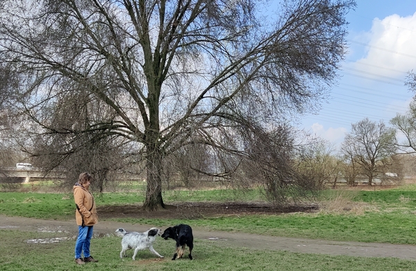 Hannes und Lula