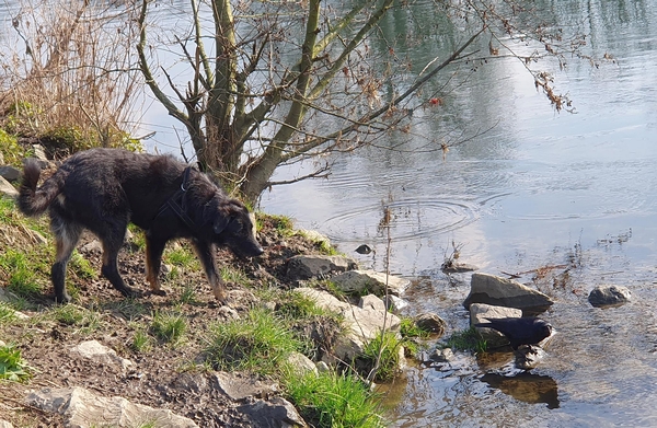 Hannes und Lula