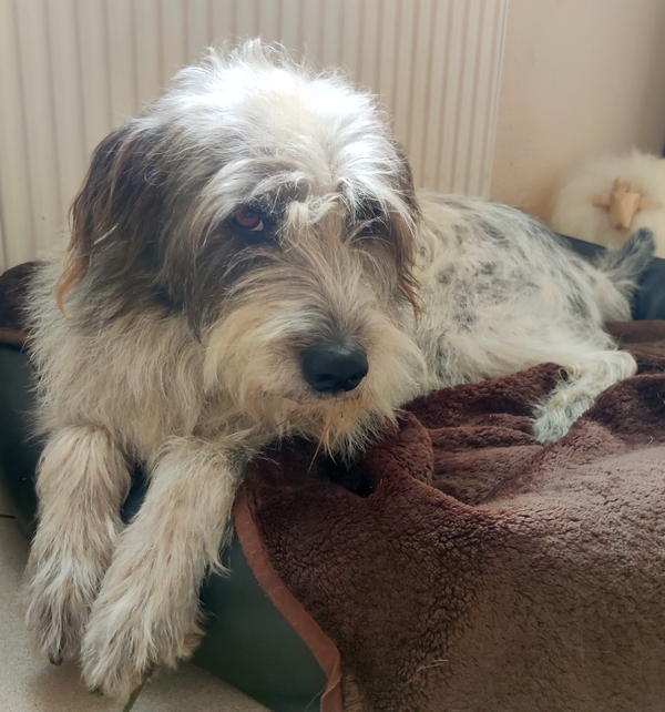 Hannes und Lula