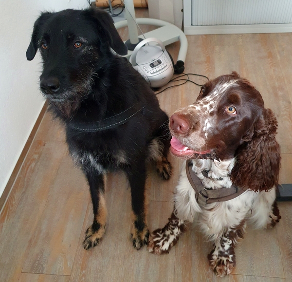 Hannes und Lula