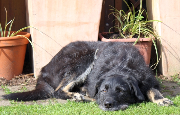 Hannes und Lula