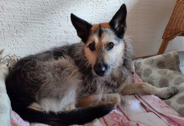 Hannes und Lula