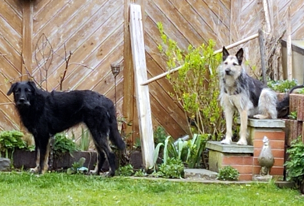 Hannes und Lula