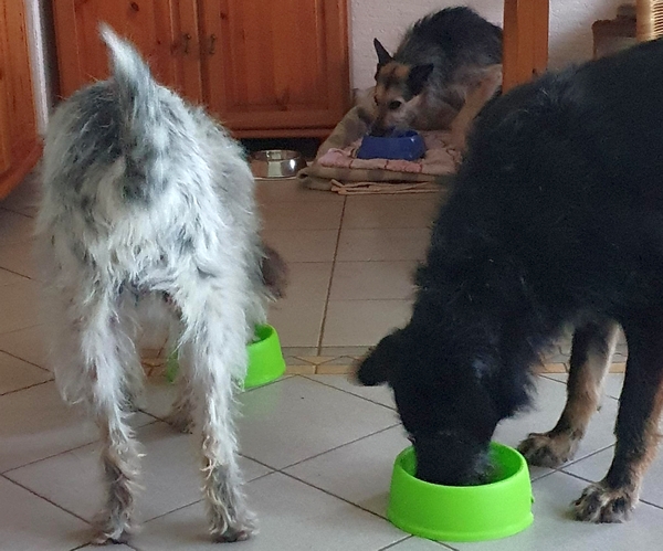 Hannes und Lula