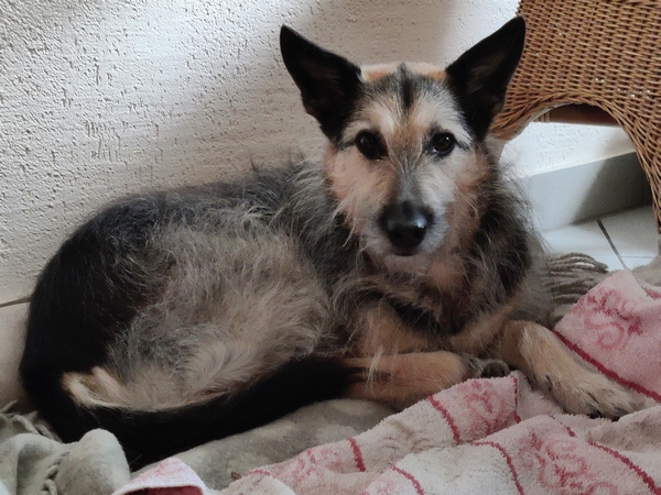 Hannes und Lula