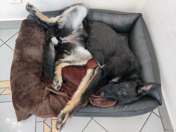 Hannes und Lula