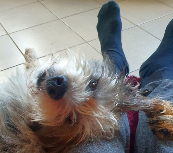 Hannes und Lula