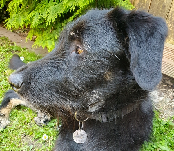 Hannes und Lula
