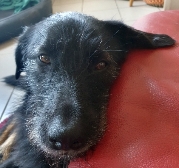 Hannes und Lula