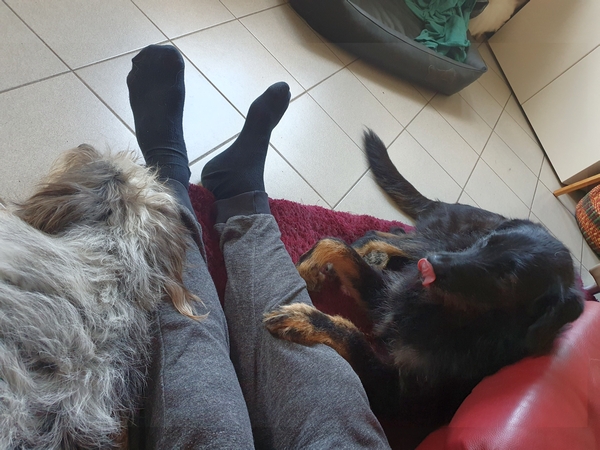 Hannes und Lula