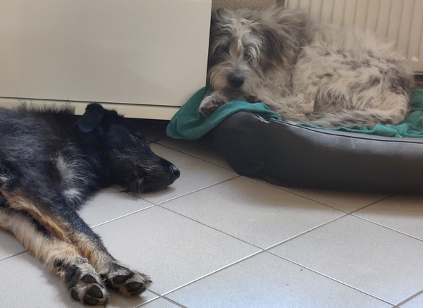 Hannes und Lula
