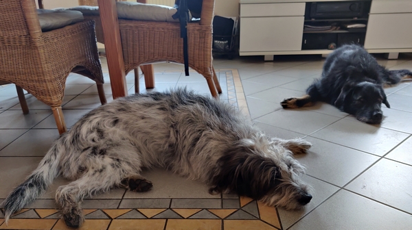 Hannes und Lula