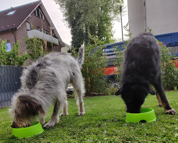 Hannes und Lula