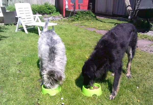 Hannes und Lula