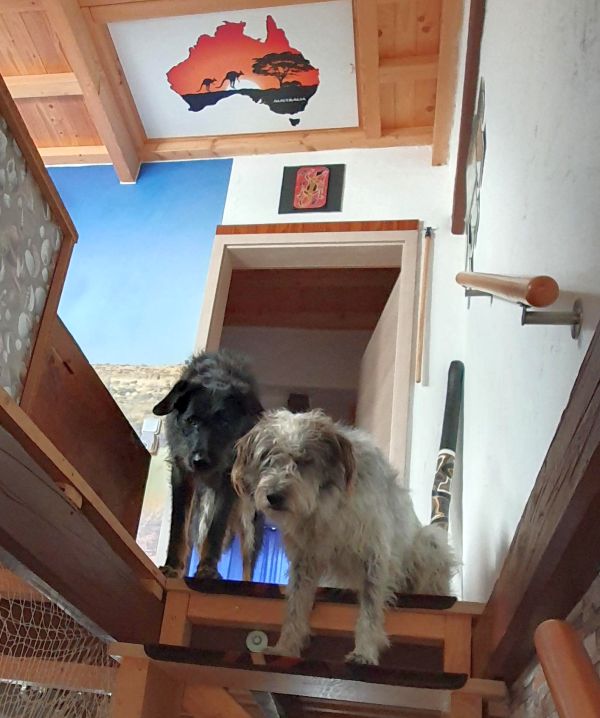 Hannes und Lula